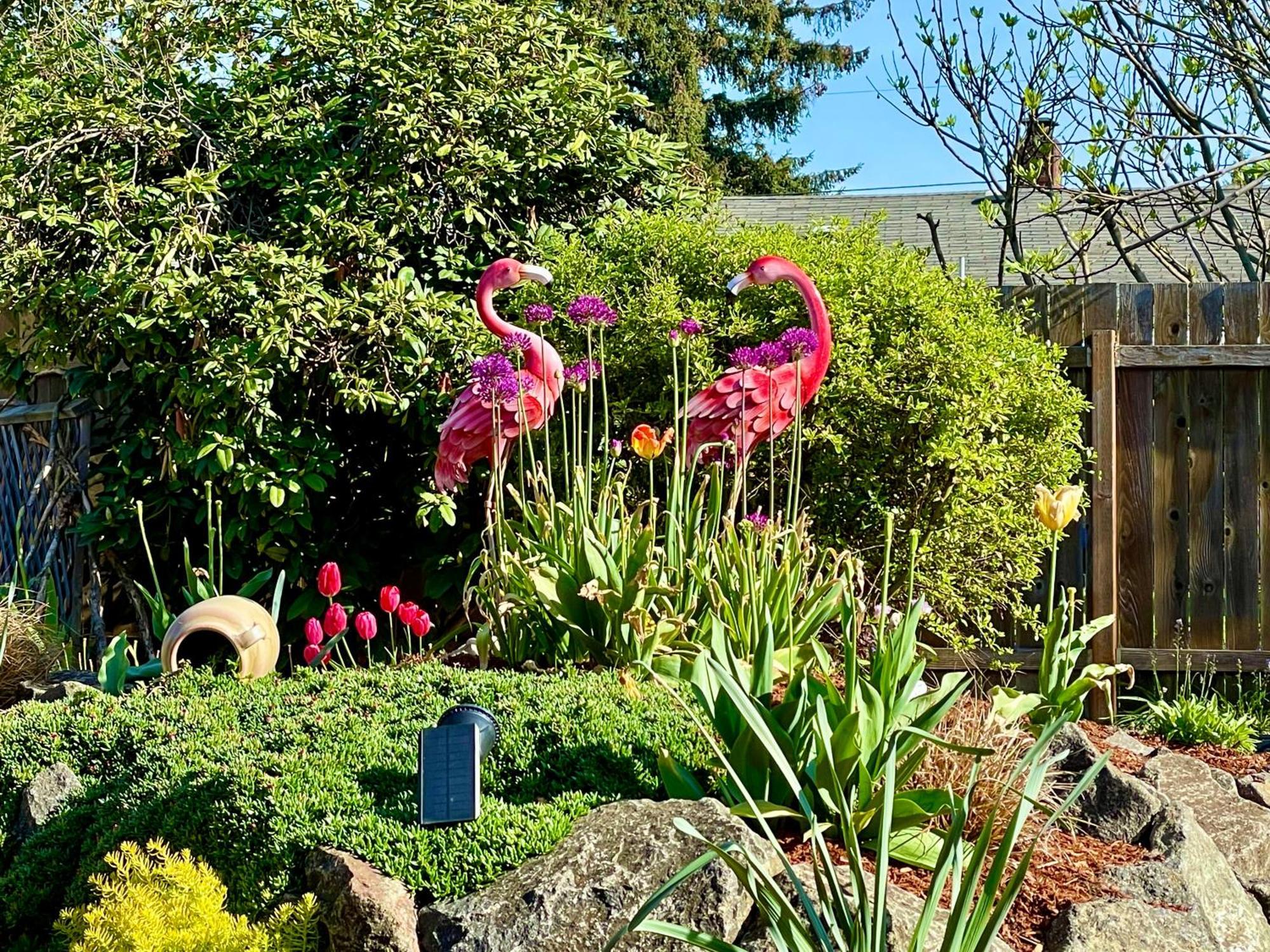Colorful 50'S Ranch In The Heart Of Eugene Villa Екстериор снимка